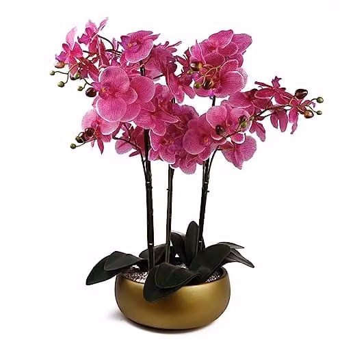 Botanik 60cm Pink and Gold Artificial Orchid in a Green Ceramic Planter – 1