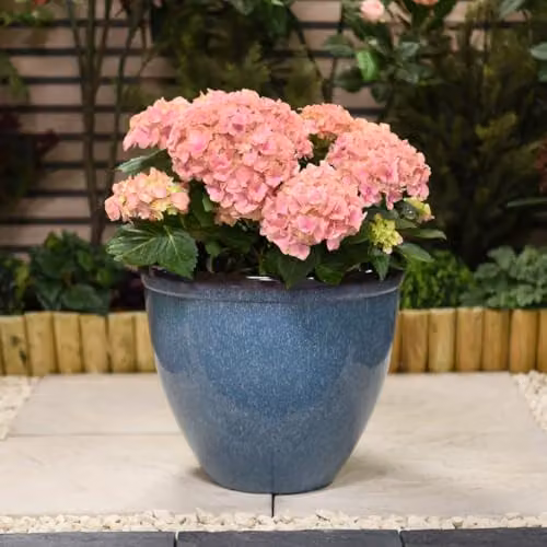 Garden Gear Blue Glazed Effect Bell Shape Planter, Height: 34 cm – 2