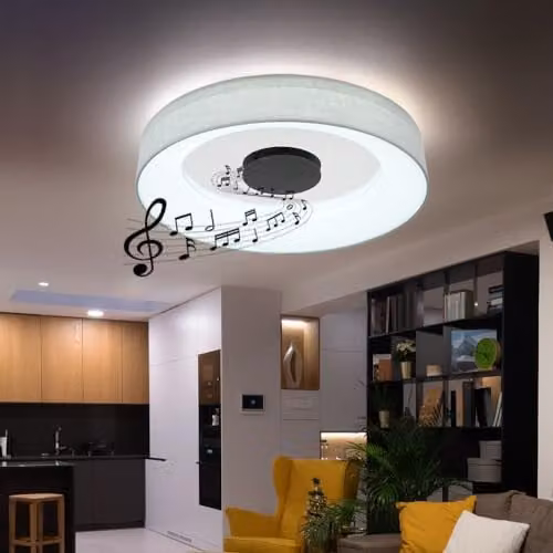 Netlighting Globo Lighting Modern Round LED Ceiling Light with Bluetooth Speaker, Dimmable and Remote Control, Diameter: 46.8 cm, Height: 9.8 cm