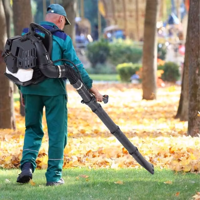 SwitZer Petrol Backpack Leaf Blower 01 in Grey and Black