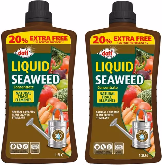 Doff Liquid Seaweed Plant Feed Concentrate All Purpose Plant Tonic, 1.2 l