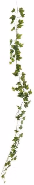 KDMD Green Ivy Garland 180cm for Weddings and Parties