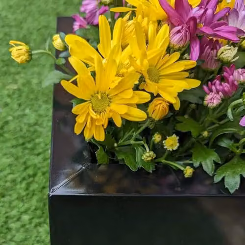 Tulipy Galvanised Steel Tall Square Planter, Black, W: 25 cm, D: 25 cm, H: 50 cm – 3
