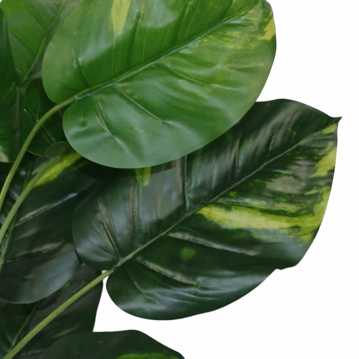 Leaf Design UK Realistic Large Artificial Devils Ivy Potted Plant in Green, Height: 60 cm – 2