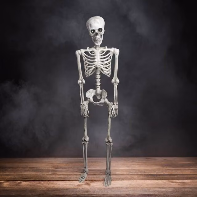 Menkind #Winning 60 inch Posable White Skeleton with Colour Changing Eyes – 1