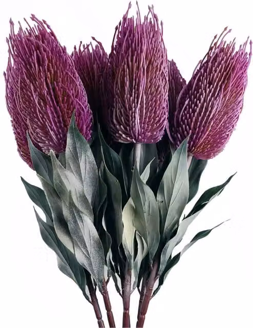 Artificial Banksia Menziesii Flower Stems with Leaves in Pink and Purple