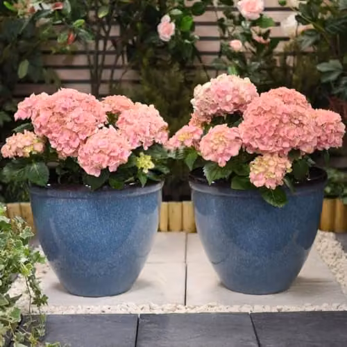 Garden Gear Blue Glazed Effect Bell Shape Planter, Height: 34 cm – 3