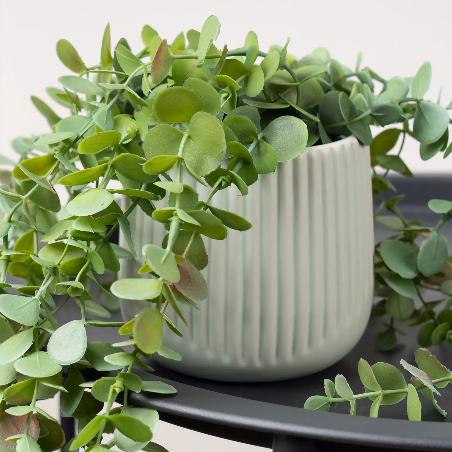 Scottish Everlastings Ltd Artificial Trailing Green Eucalyptus – 2