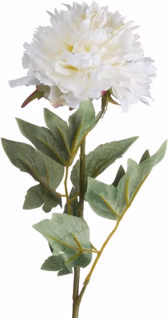 FABRICNCO Classic White Peony Extra Long Stem Floral Arrangement