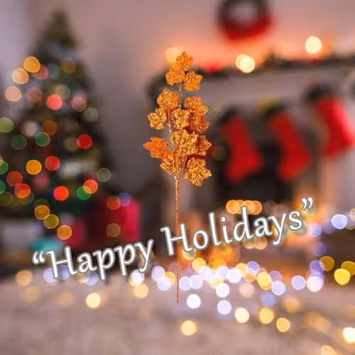 VFM e-Store Orange Christmas Long Stem with Glitter Decoration, W/D/H: 20 x 20 x 65 cm – 3