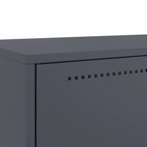 vidaXL Anthracite Steel Highboard with Hinged Doors and Internal Shelves, W/D/H: 68 x 39 x 111.5 cm – 4