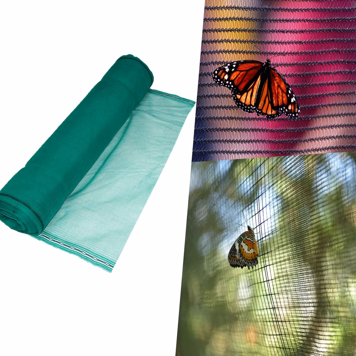 Pegdev Green Butterfly Netting UV Stabilised Mesh for Protecting Vegetables and Plants, 10m – 2