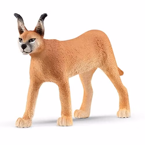 Schleich Wild Life Caracal Female Toy Figurine in Orange and Multicolour