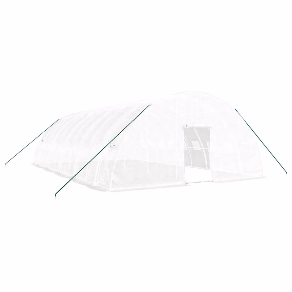 Berkfield Home White Steel Frame Greenhouse with Plastic Cover, W/D/H: 10 x 6 x 2.85 m – 2