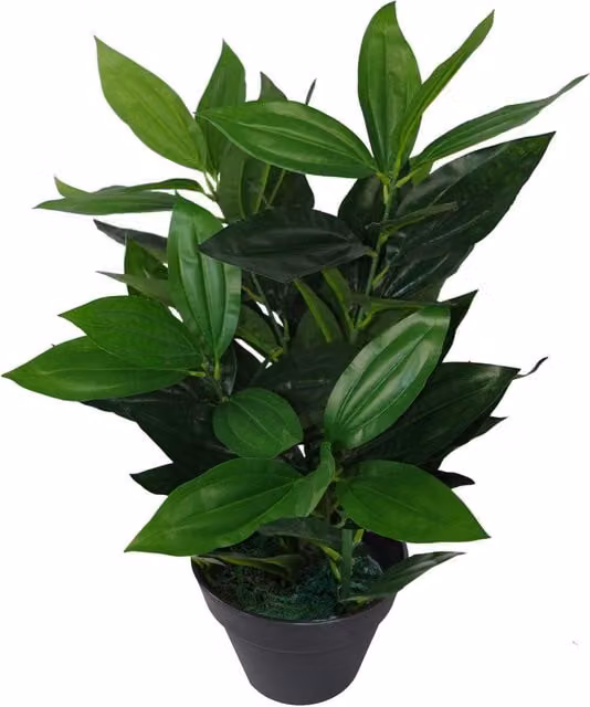 Leaf Design UK Realistic Large Artificial Potted Green Plant, Height: 70 cm – 1