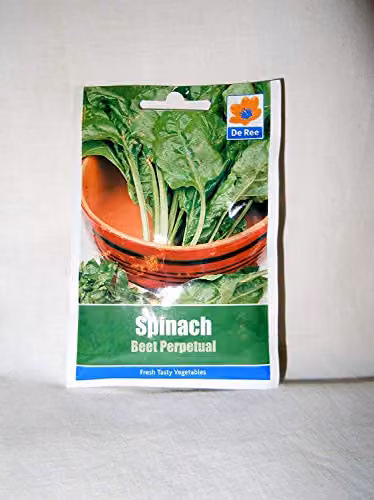 De Ree Spinach Beet Perpetual Vegetable Seeds, Green