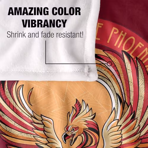 Warner Bros. Harry Potter Mosaic Order of the Phoenix Super Soft Fleece Throw Blanket, Multicolour – 3