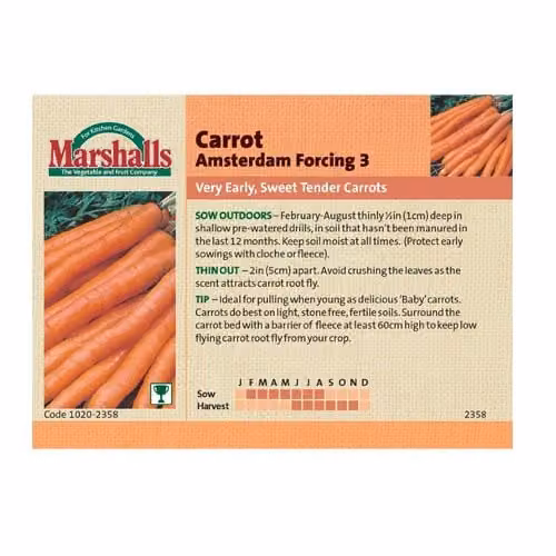 Marshalls Garden Amsterdam Forcing 3 Early Carrot Seeds, 2200 Seeds, Orange – 1