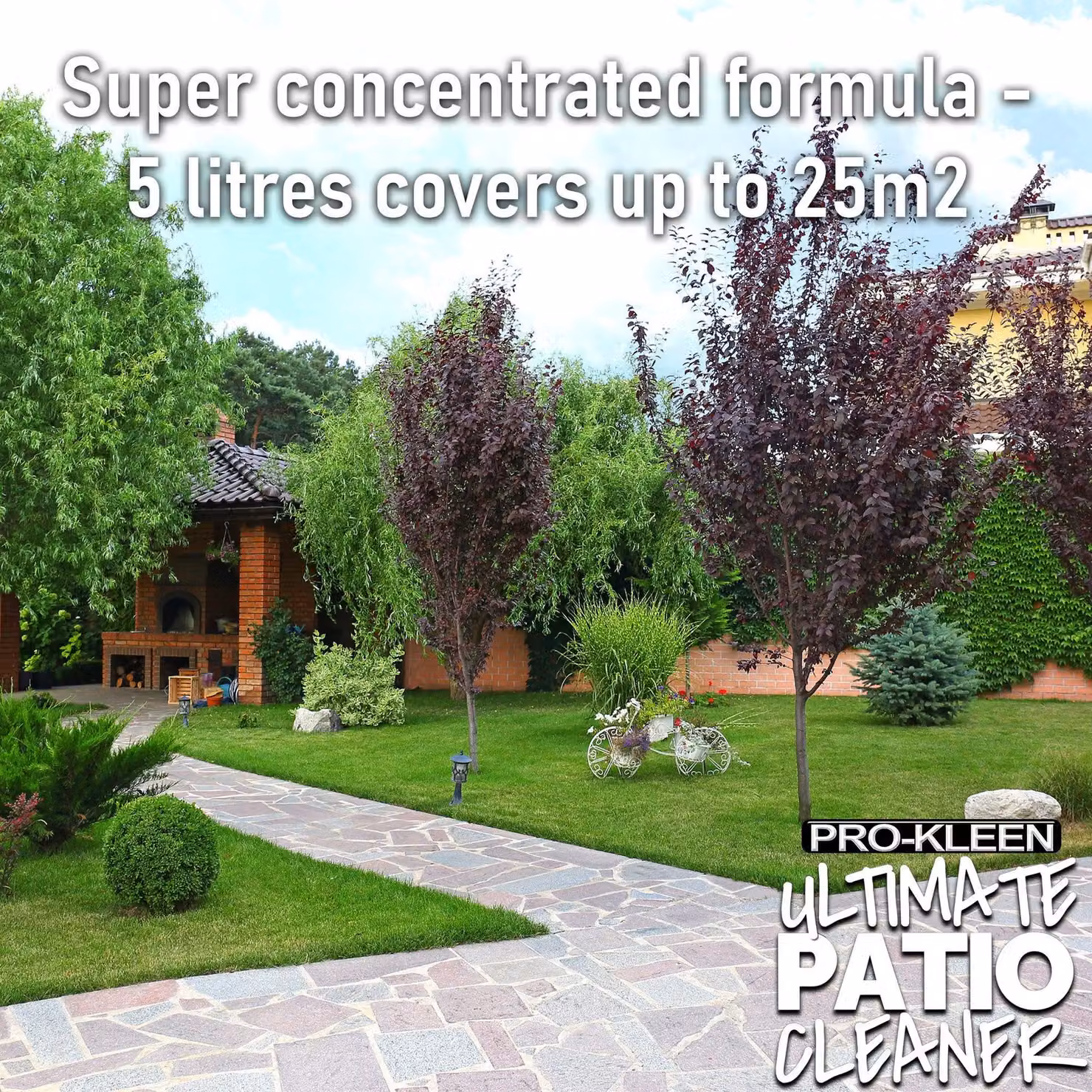 ProKleen Ultimate Patio Cleaner and Black Spot Remover, 3 x 5 l – 4
