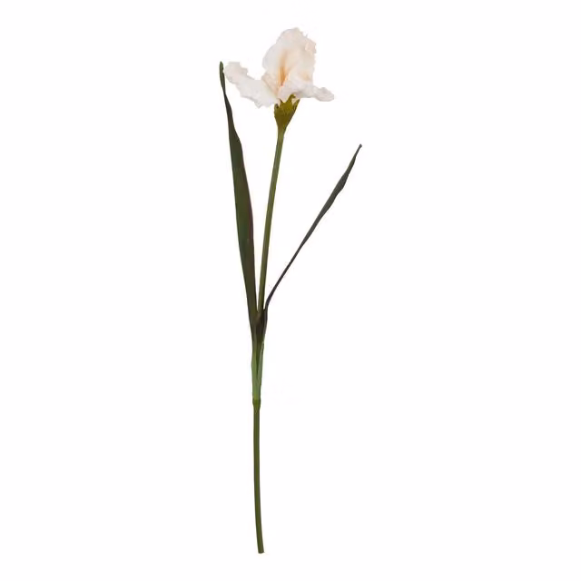 Hill Interiors Natural Garden Collection Fringed Iris Artificial Flower in Green