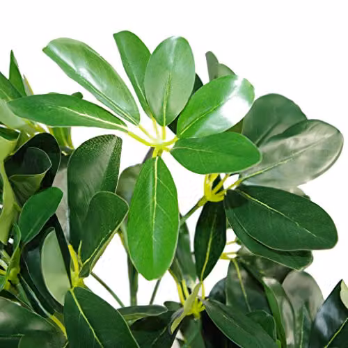 Leaf Artificial Ficus Umbrella Tree, Dark Green, Height: 95 cm – 3