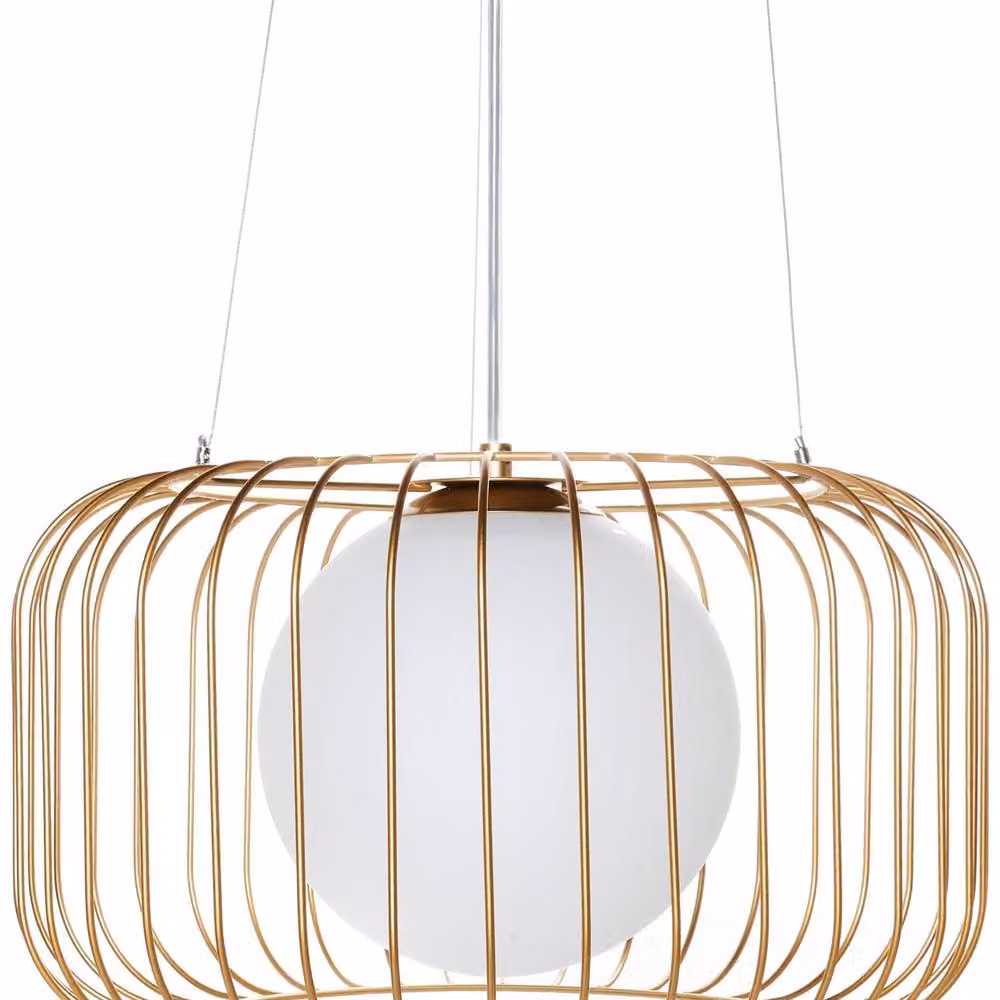 Wyld and Coco Gold Cage Industrial Pendant Light with Transparent Glass Shade – 2