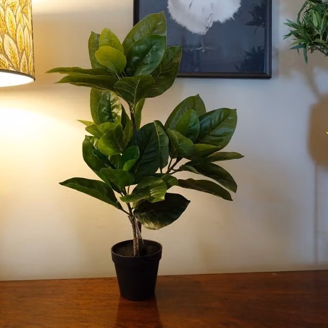 Artificial Green Rubber Plant in Black Pot for Tabletop Display