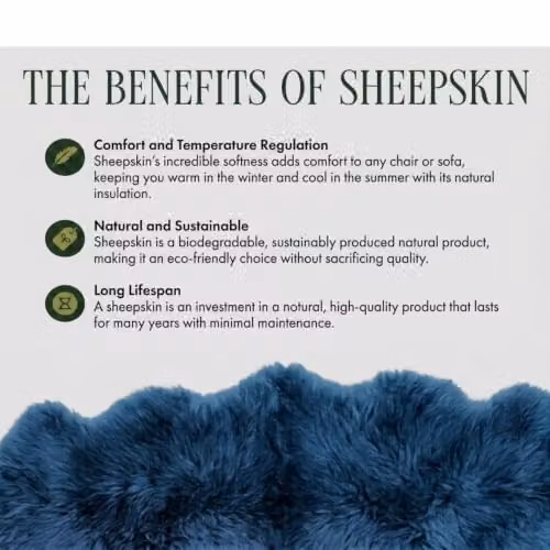 Infinity Leather Genuine Sheepskin Wool Rug, Blue, W/D: 90 x 60 cm – 6