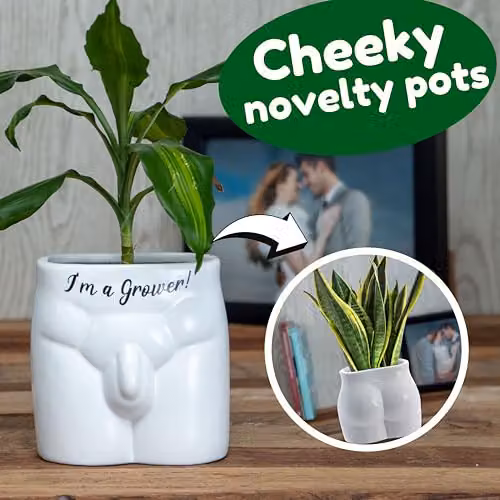 Boxer Gifts I'm A Grower Novelty Ceramic Tabletop Planter in White and Black, W/D/H: 12.0 x 11.0 x 11.0 cm – 2