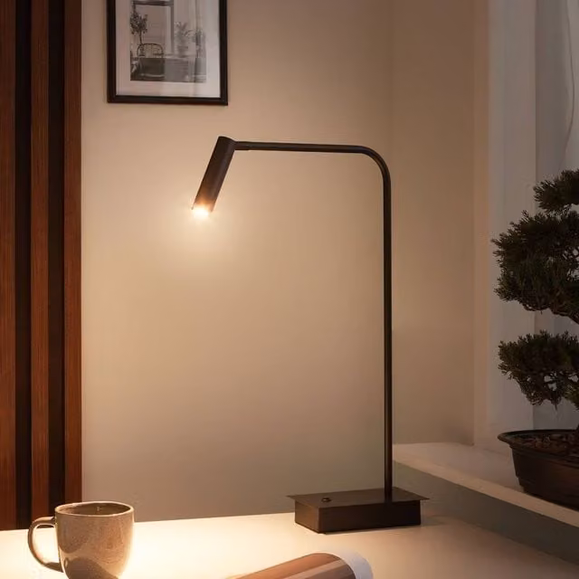 Wyld and Coco Black Metal LED Desk Lamp with Adjustable Shade