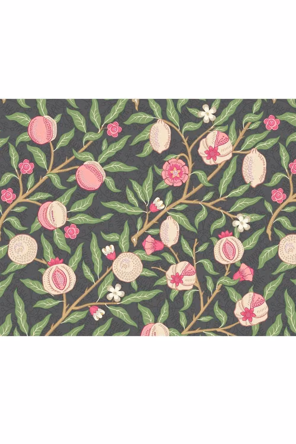 Origin Murals Fruit & Foliage Floral Wall Mural in Black and Multicolour, W: 350 cm, H: 280 cm – 2