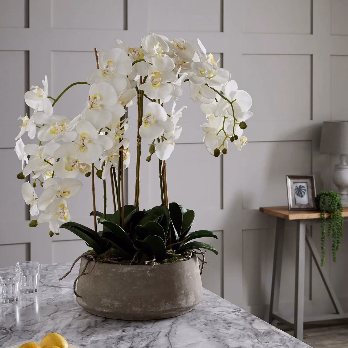 Love Lace Large White Orchid in a Stone Pot – 3
