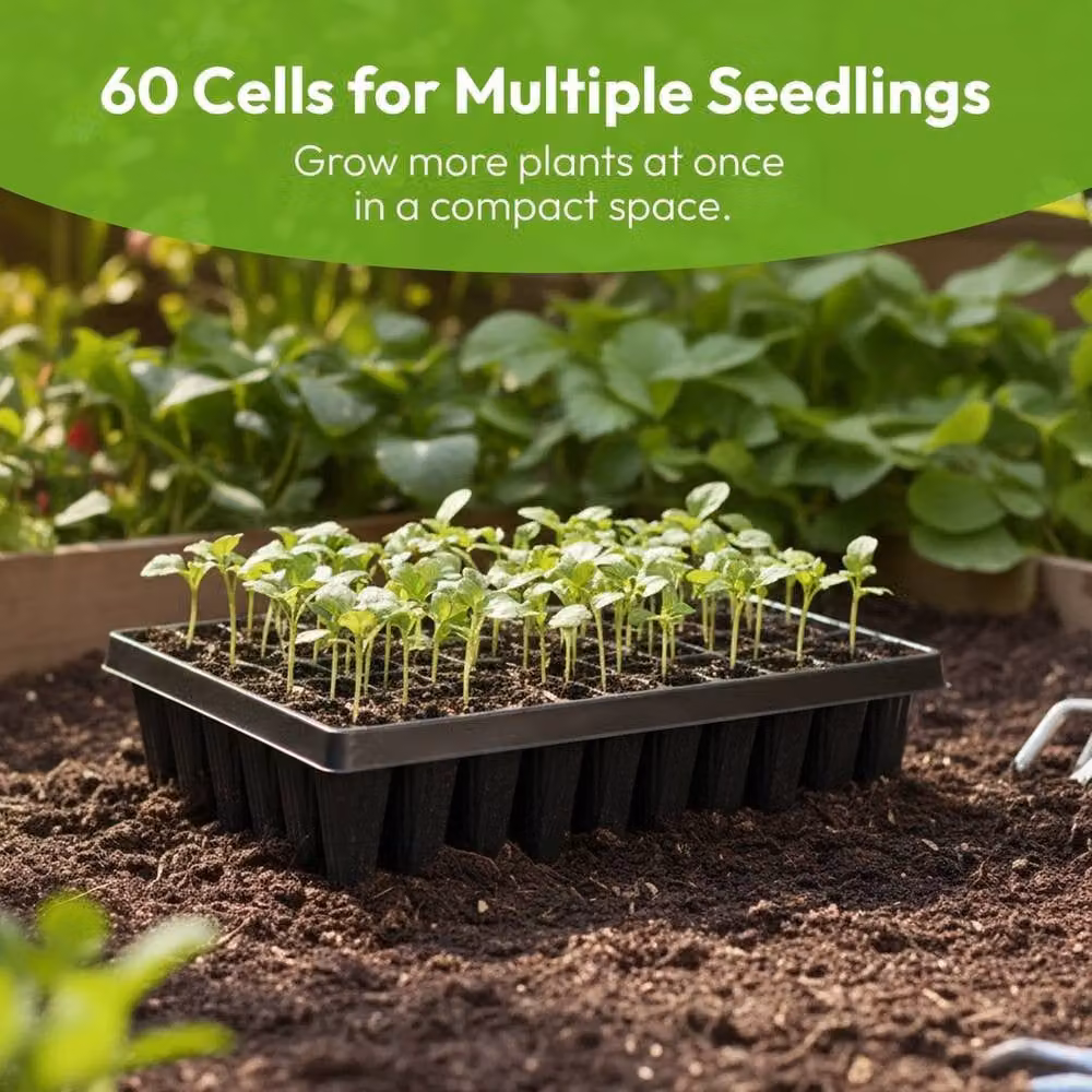 KORVIXA 60-Cell Plastic Seedling Propagation Root Trays in Black – 6