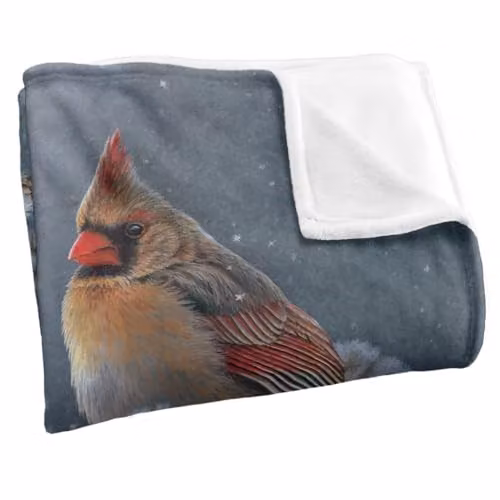 JQ Licensing Winter Cardinals Silky Touch Super Soft Fleece Throw Blanket in White, W: 152 cm, D: 127 cm – 2