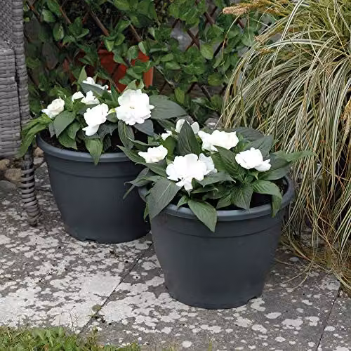 Thompson and Morgan Dark Grey Plastic Patio Planter Pot, 32 cm – 3