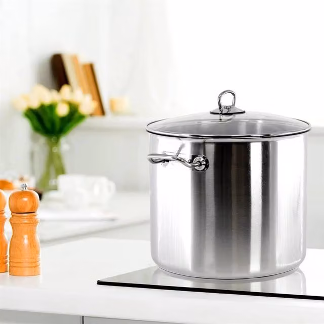 EONLION 20L Stainless Steel Stock Pot with Glass Lid in Silver – 1