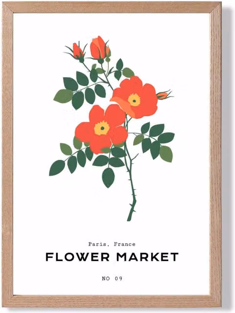ARTZE Orange Cosmos Plant Flower Market Simplicity Framed Print with Oak Frame