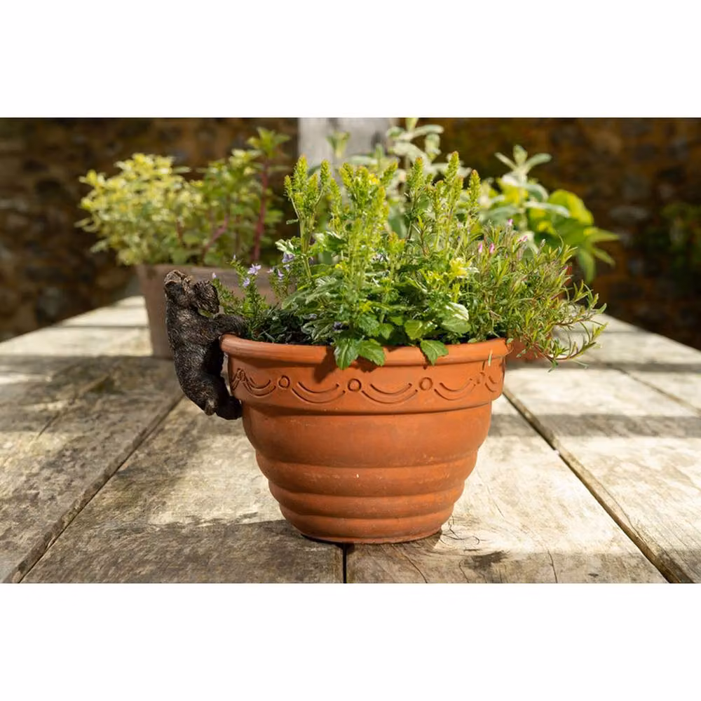 Jardinopia Antique Bronze Schnauzer Pot Buddy Hanging Plant Pot – 2