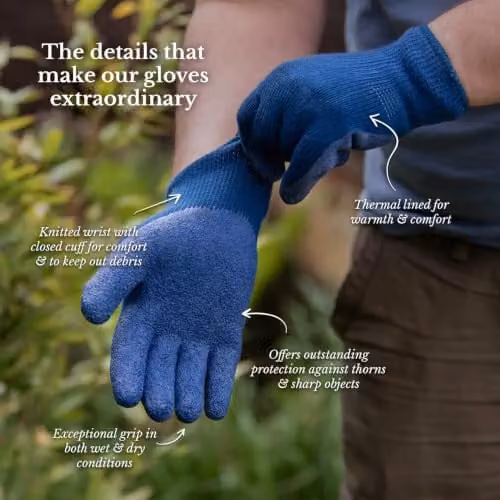 Kent & Stowe Thermal Lined Ultimate All Year Round Gardening Gloves in Blue – 2