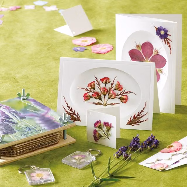 House of Crafts Multicolour Wood Flower Pressing Kit for Adults