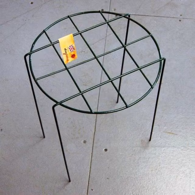 Poppyforge Simple Mesh Ring Pack of 4 in Dark Green, W30 x H41 cm