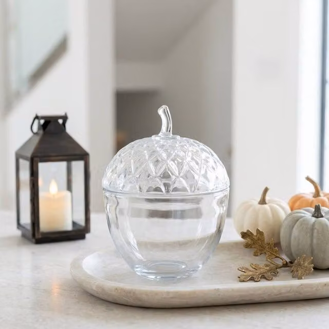 Garden Greatness Harvest Edit Glass Acorn Tabletop Display Pot in Clear