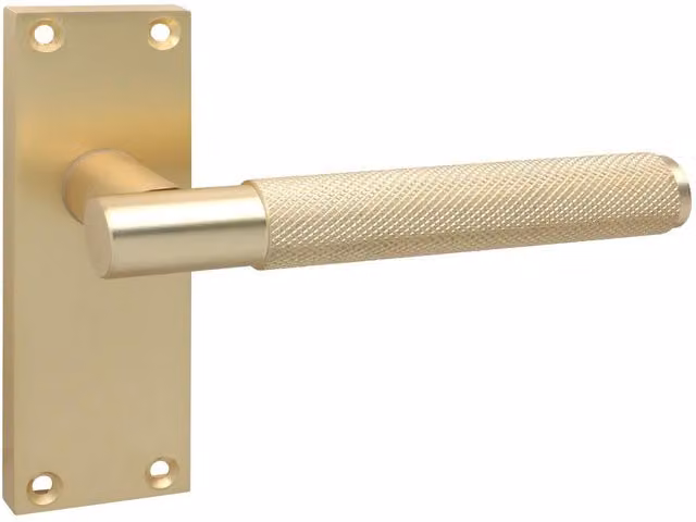 Golden Grace Brushed Brass Door Handle Set of 6 in Black and Yellow
