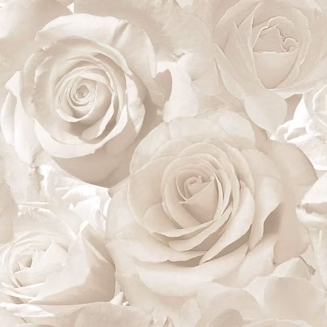 Muriva Madison Rose Glitter Floral Botanical Wallpaper in Cream