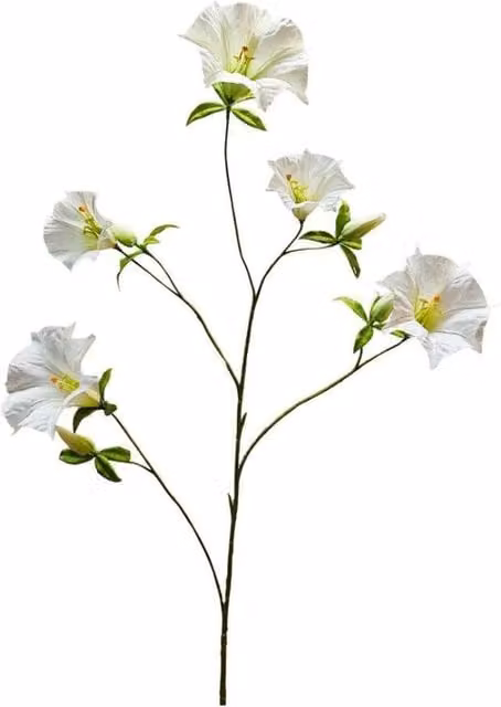 KDMD Botanica Cream Sundaville Floral Textile Chair in White, Height: 113 cm