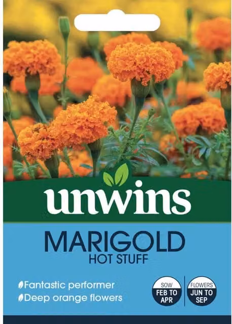 Marshalls Garden Marigold Hot Stuff Seeds, Deep Orange, 50 Seeds