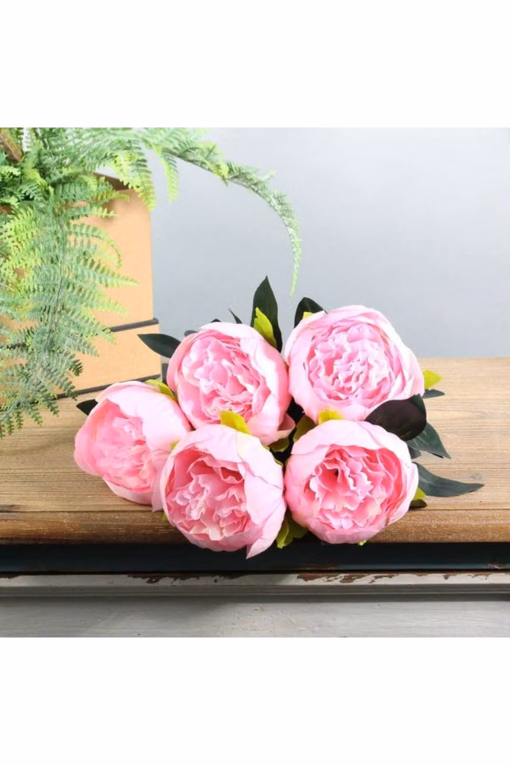 KDMD Pink Arundel Peony Bush 2 Pack – 2