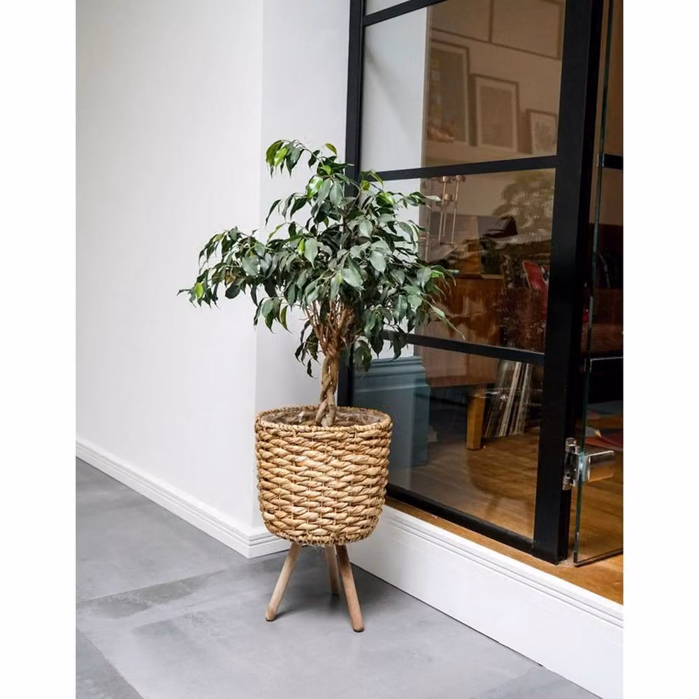 Lemon Pavilion Natural Water Hyacinth Lined Open Weave Basket on Legs, W: 30 cm, D: 30 cm, H: 45 cm – 3