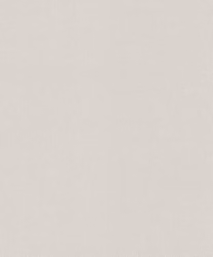 Erismann Spotlight 2 Textured Plain Natural Beige Wallpaper