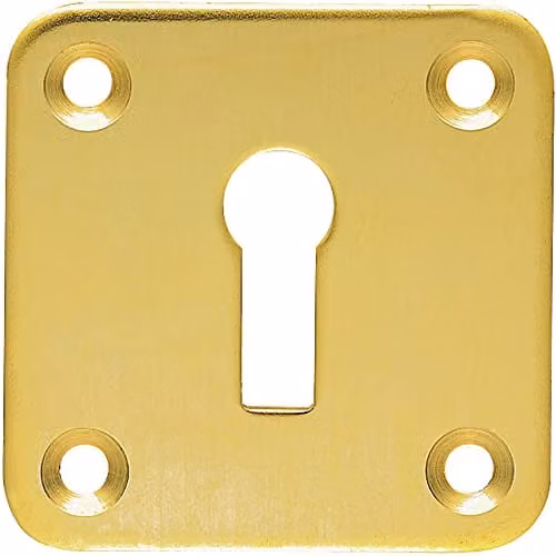 Loops Standard Lock Profile Open Escutcheon Keyhole Cover Plate in Polished Brass